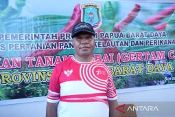 Pemerintah Papua Barat Daya salurkan 10 ribu pohon cabai untuk tekan inflasi