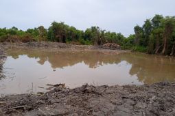 Pemkab Batanghari siap aktifkan belasan embung antisipasi El Nino