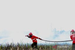 Minim air, petugas gunakan detergen padamkan karhutla di Kalsel