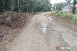 Bangun jalan, Mukomuko usulkan dana Rp80 miliar