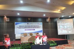 Ridwan Rumasukun minta bupati/wali kota serius perangi stunting