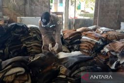 Karantina Pertanian Gorontalo periksa 30 ton kulit sapi di gudang