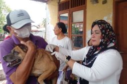 Pemkot Medan vaksin rabies 243  hewan peliharaan