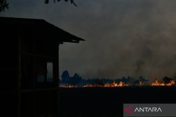 Karhutla nyaris lalap pondok pemilik lahan di Banjarbaru