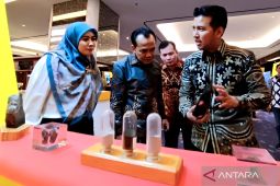 Menko Perekonomian dukung percepatan ekonomi melalui penguatan KEK