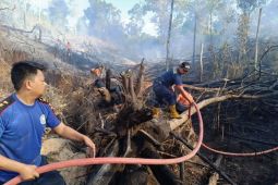 BMKG peringatkan waspada titik panas bertambah di Kaltim