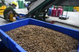 Sampah organik potensi aset bagi ekonomi sirkular