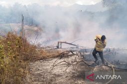 Delapan hektare lahan di Aceh Besar terbakar diduga sengaja dibakar