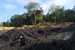 Kementerian LHK tetapkan status tersangka penambang batu bara ilegal di IKN