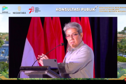 Otorita IKN ungkap alasan UU Nomor 3/2022 tentang IKN harus revisi