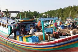 Nilai produksi ikan di Sungailiat capai Rp15 miliar lebih