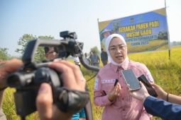 Puluhan saluran irigasi untuk pertanian segera dibangun di Purwakarta