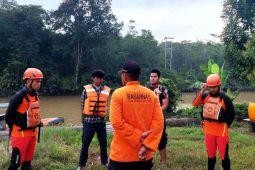Tim SAR kembali cari nelayan hilang enam hari di hutan bakau Berau