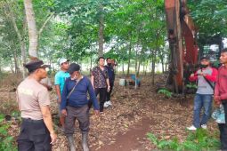 Titik api muncul di Sei Kepayang Asahan, PT IPS kerahkan alat berat