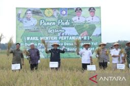 Wamentan RI ajak petani berinovasi kelola pertanian
