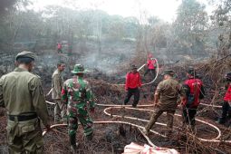 Pemkab Penajam padamkan kebakaran lahan gambut