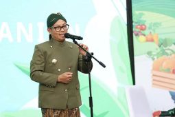 Pemkot Malang terima kuota calon ASN sebanyak 271 orang pada 2023