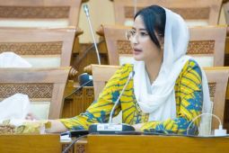 Anggota DPR nilai perlu gotong royong tangani soal elpiji subsidi