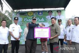 Wamentan serahkan alat dan mesin pertanian bantu Bangka Barat tingkatkan produksi padi