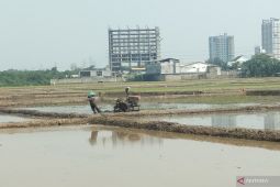Karawang siap tanam varietas padi unggul dukung gerakan percepatan tanam