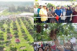 Pemkab Bangka Tengah dorong pengembangan kawasan agrowisata