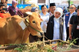 Capaian vaksinasi PMK di Jatim tertinggi se-Indonesia