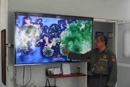 KEK Golo Mori Labuan Bajo disebut jadi salah satu habitat satwa Komodo