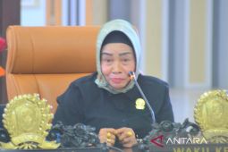 DPRD Gorontalo Utara minta pemda fokus tingkatkan PAD