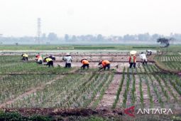 Pupuk Kujang dan Rize jajaki kerja sama budidaya ramah lingkungan