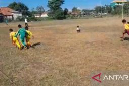 Lomba "rap-kerrapan sapeh" tingkat SD meriahkan HUT RI di Pamekasan
