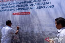 Moeldoko deklarasikan sagu sebagai pangan berkelanjutan