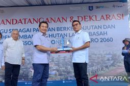 PT Timah kembangkan tanaman sagu di bekas tambang basah