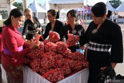 Pada Agustus, bawang merah alami deflasi di seluruh wilayah