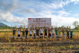 Harita group di Halmahera Selatan butuh kedelai 24 ton per bulan