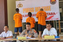 Polisi tangkap pelaku pencurian puluhan kambing di Kayong Utara