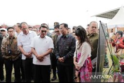 Rumah BUMN Sibolga ramaikan Festival Perhutanan Sosial