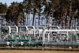 Lembaga riset ungkap batas harga gas Jerman jauh lebih murah dari perkiraan
