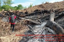 Manggala Agni pastikan karhutla  di sekitar IKN padam