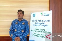 Pemkab Bangka Tengah ciptakan produk cumi dalam kemasan