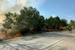 BMKG sebut sejumlah wilayah berpotensi karhutla