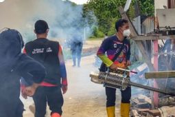Dinkes Kapuas Hulu ingatkan masyarakat bahaya DBD