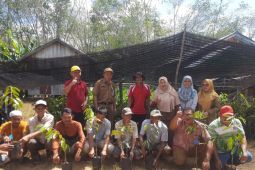 Petani Desa Usih terima bantuan bibit durian dan pisang unggul