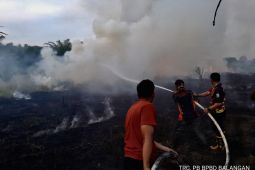 Balangan's BPBD, police, residents stamp out 2.5 hectares peatland fire