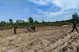 Satgas Pamtas dan warga kembangkan palawija di batas RI-Malaysia