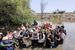 Mahasiswa pegiat lingkungan tanam 350 bibit bakau di Kolam Labuh Retensi Cilincing
