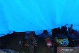 Polisi ringkus tujuh pelaku sabung ayam di Mukomuko