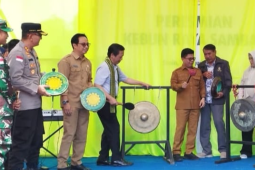 Penanaman pohon ulin tandai peresmian Kebun Raya Sambas
