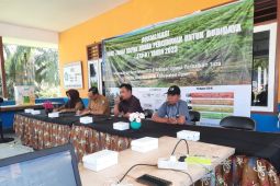 Disbunak Paser minta petani sawit urus STDB