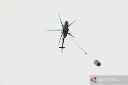 Enam helikopter diusulkan BPBD Kalsel antisipasi karhutla