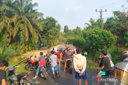 BPBD Mukomuko: Akses jalan provinsi putus akibat banjir